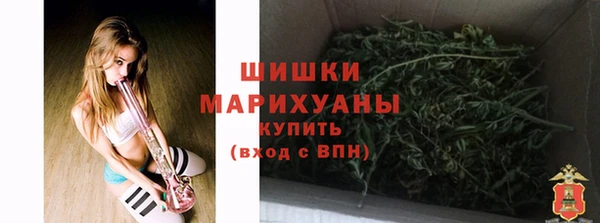 хмурый Заводоуковск
