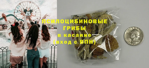 хмурый Заводоуковск