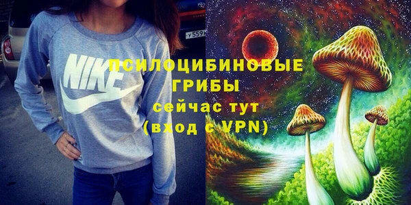 хмурый Заводоуковск