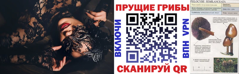 mega tor цены Каневская Псилоцибиновые грибы Psilocybe